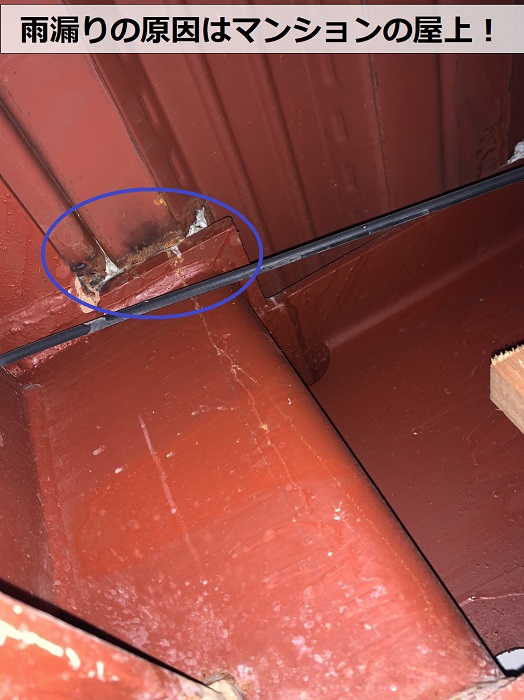 雨漏りの原因はマンションの屋上でした