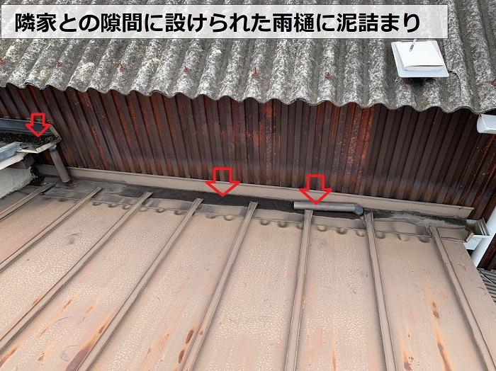 隣家との隙間に設けられた雨樋に泥が詰まっている様子