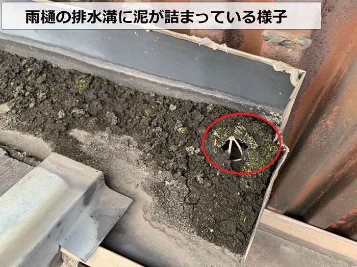 雨樋の排水溝に泥が詰まっている様子