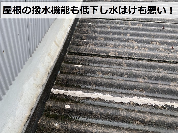 屋根の撥水機能が低下し水はけが悪い様子
