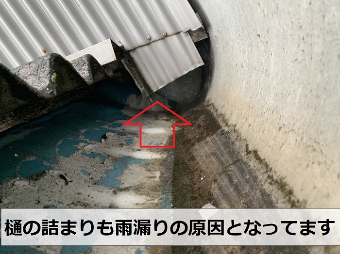 屋根雨漏りの原因は樋の詰まり
