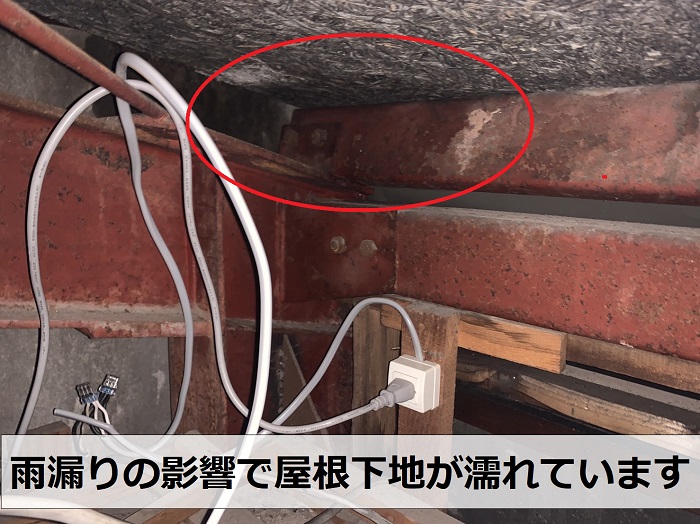 雨漏りの影響で屋根下地が濡れている様子