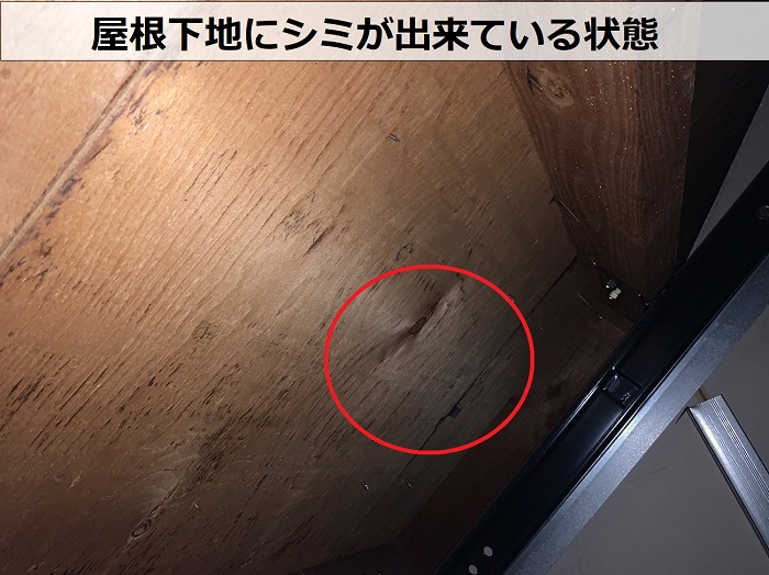 天窓からの雨漏り調査で屋根裏を点検