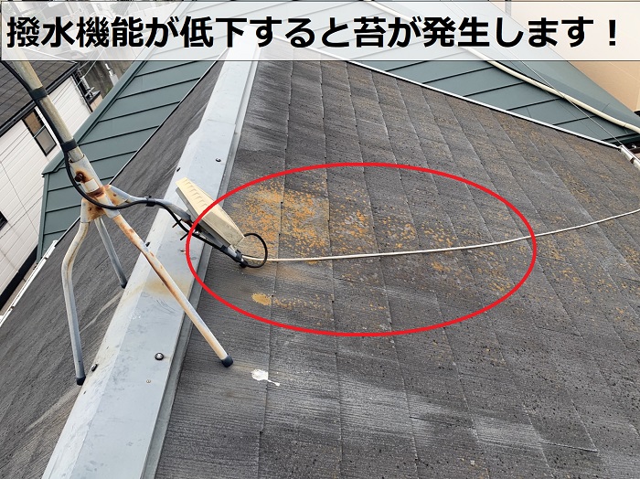 スレート屋根に苔が発生している様子