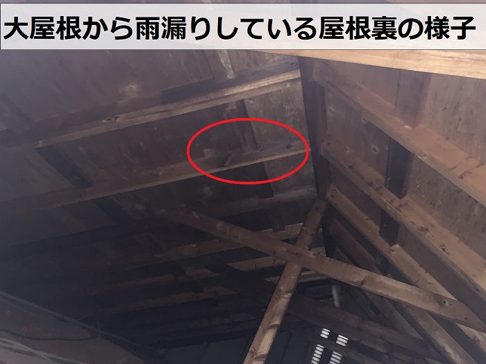 大屋根からも雨漏りしている屋根裏の様子
