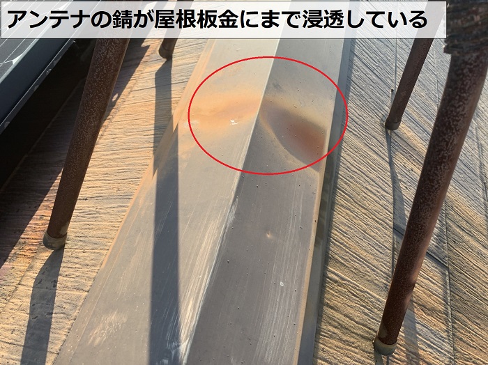 アンテナの錆が屋根板金に浸透している様子