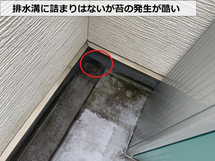 三木市で雨漏りしているバルコニーの排水溝に苔が発生している様子