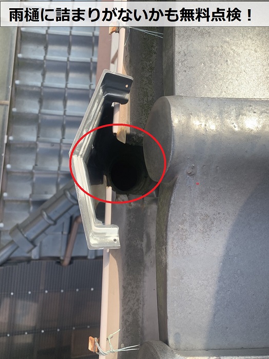 雨樋に詰まりがないかも無料点検している様子