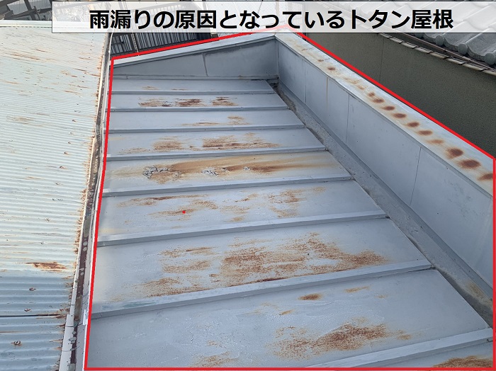 雨漏りの原因となっているトタン屋根の全景