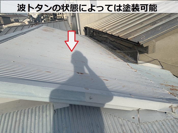 波トタンの状態によっては塗装可能