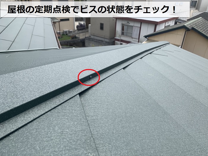 屋根の定期点検でビスの状態をチェックしている様子
