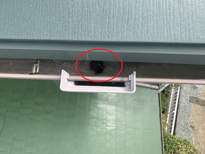 雨樋内部のドレンを点検している様子