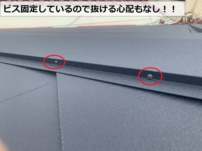 屋根の定期点検で棟板金を調査している様子