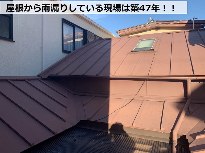 神戸市東灘区で屋根から雨漏りしている現場の様子