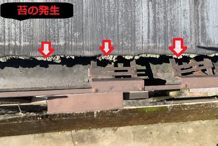 スレート屋根の苔の発生