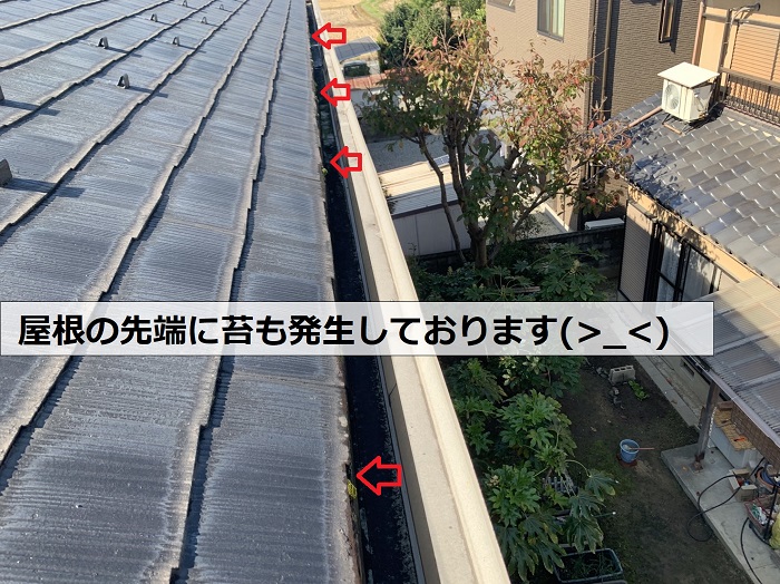 屋根の先端に苔が発生している様子