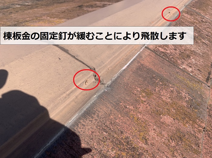 屋根点検で棟板金の釘が緩んでいるのを診断