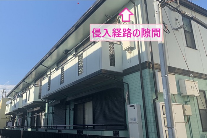 明石市で鳥害対策をするアパートの侵入経路の隙間の様子