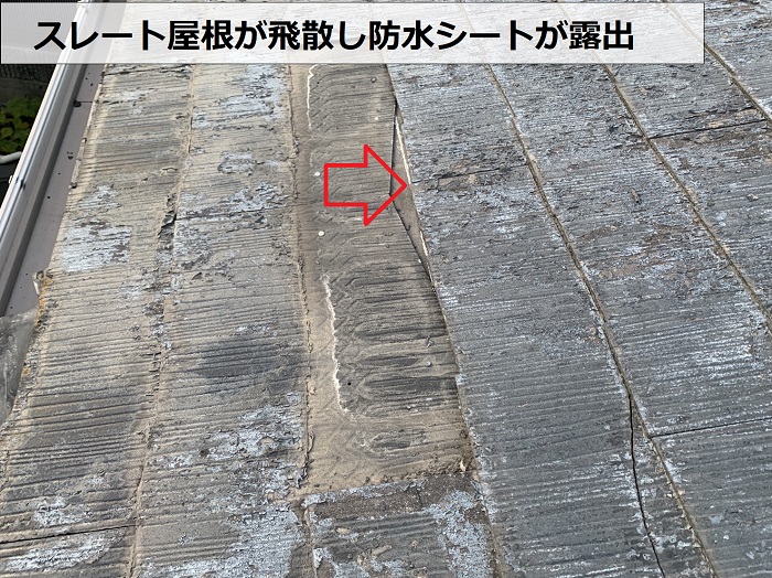 スレート屋根が飛散し防水シートが露出している様子