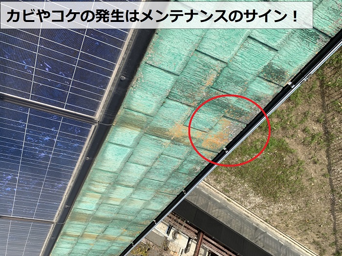 スレート屋根に苔がはっせいしているようす