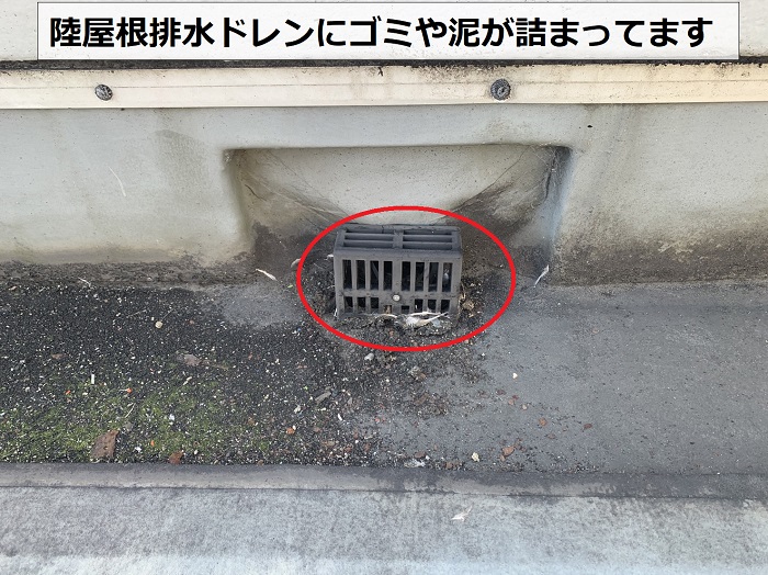 雨漏り診断士が陸屋根の排水ドレンを無料調査