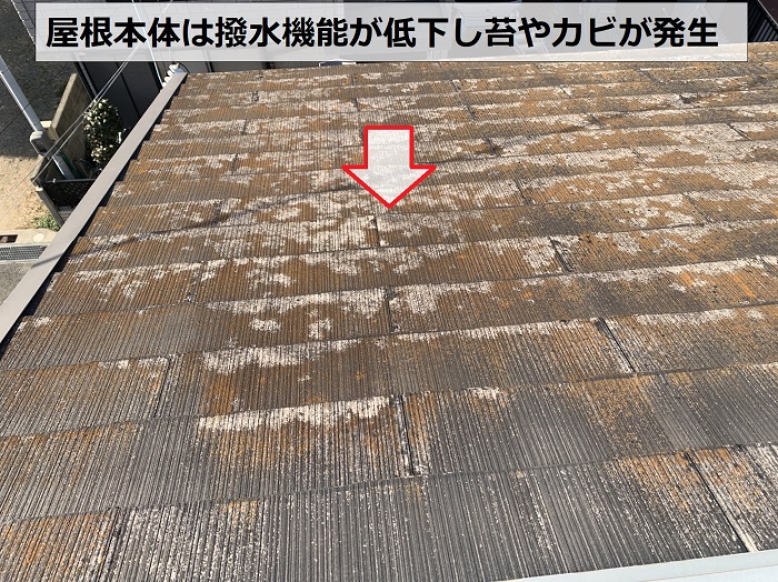 カラーベスト屋根に苔やカビが発生している様子