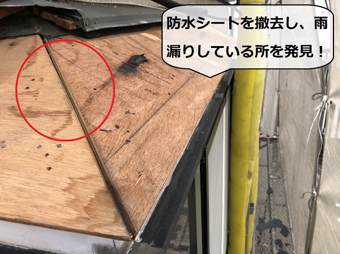 雨漏りしている部分を発見した様子