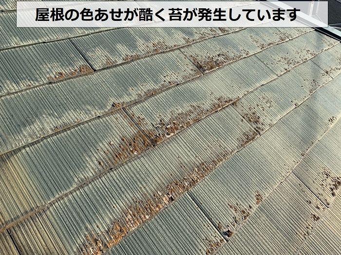 外装リフォームの無料見積もりで屋根に苔が発生している様子