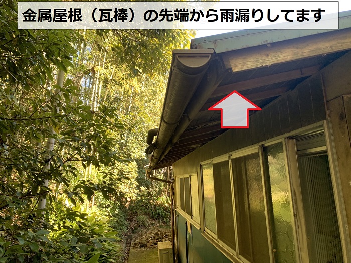 金属屋根（瓦棒）の先端から雨漏りしている様子