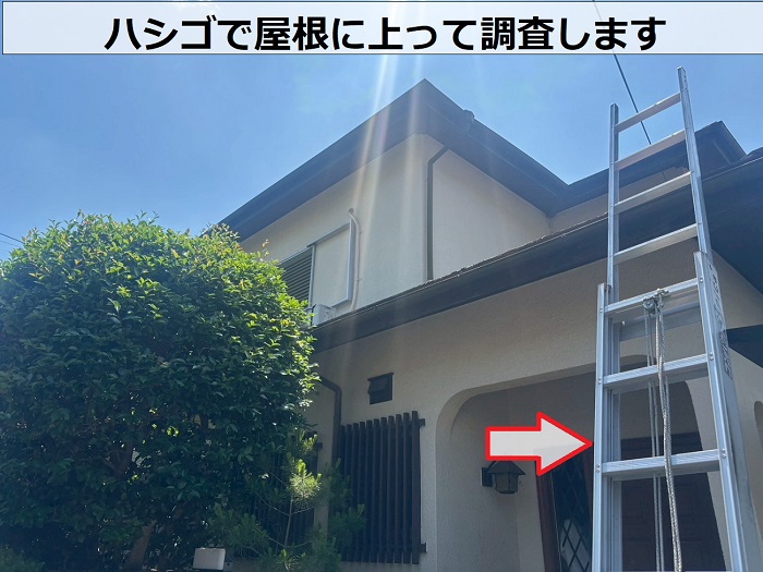 ハシゴで屋根に上っている様子