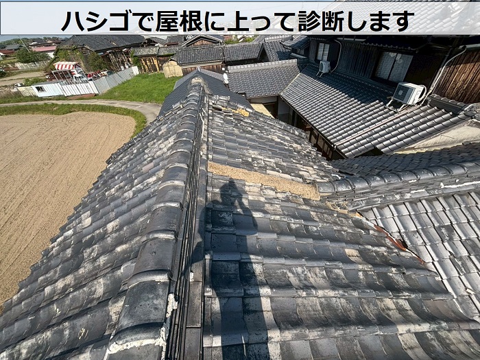 蔵の屋根にハシゴで上っている様子