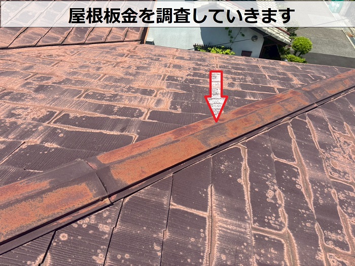 屋根板金を調査