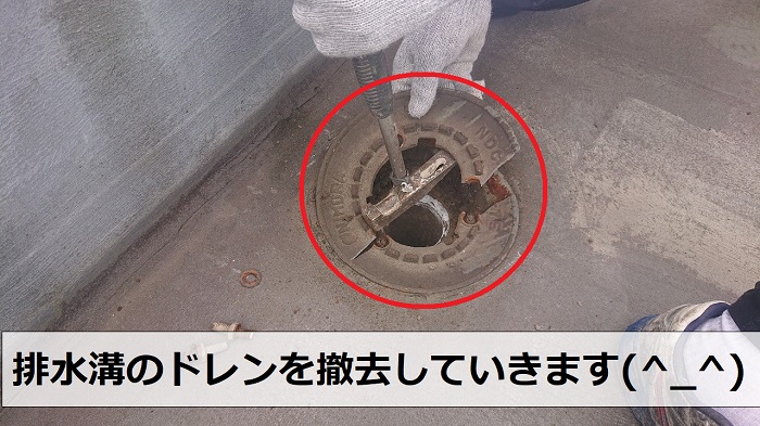 屋上の排水溝のドレンを撤去している様子