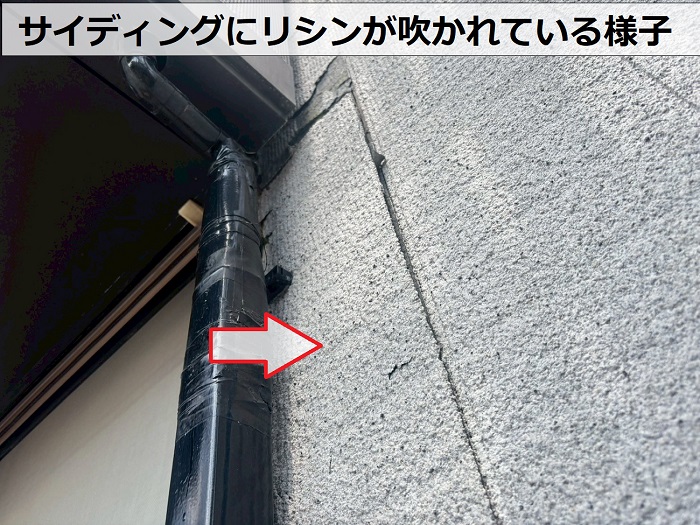 サイディングにリシンが吹かれている様子