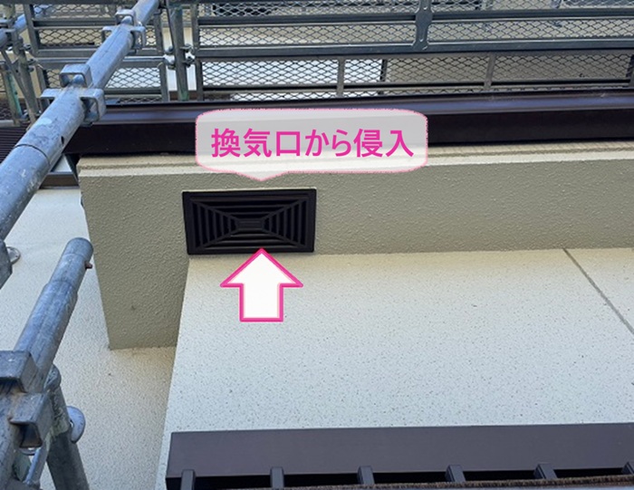 屋根裏の害獣対策を行うお家で換気口からコウモリが侵入している様子