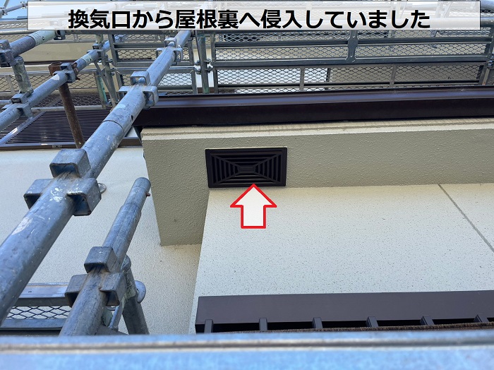 家コウモリが換気口から屋根裏へ侵入していた様子