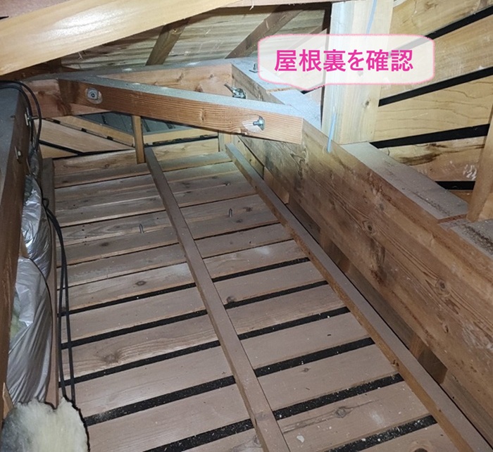 屋根裏の害獣対策を行う前に屋根裏にコウモリが残ってないか確認している様子