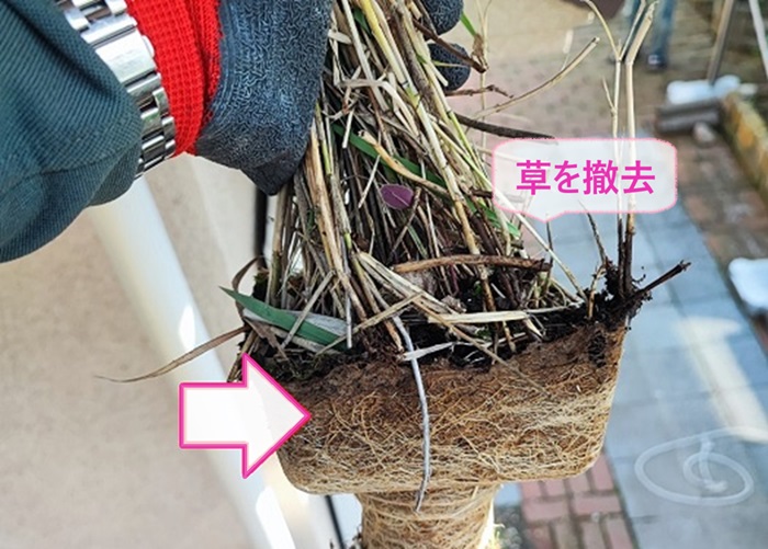 ２階部分の軒樋の部分補修で雨樋に生えてた草を撤去している様子