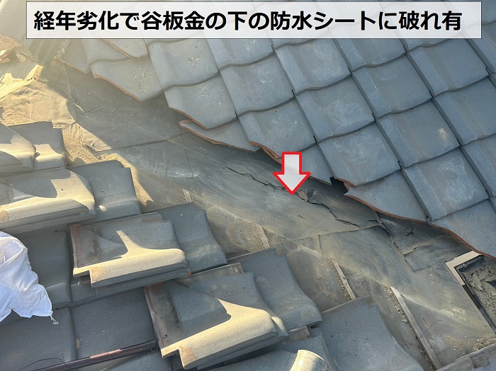 瓦屋根の谷板金修理で防水シートに破れ有
