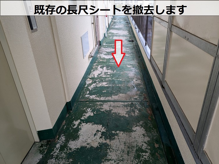 神戸市長田区で共用廊下の長尺シートをタキロンQAに貼り替えで撤去作業