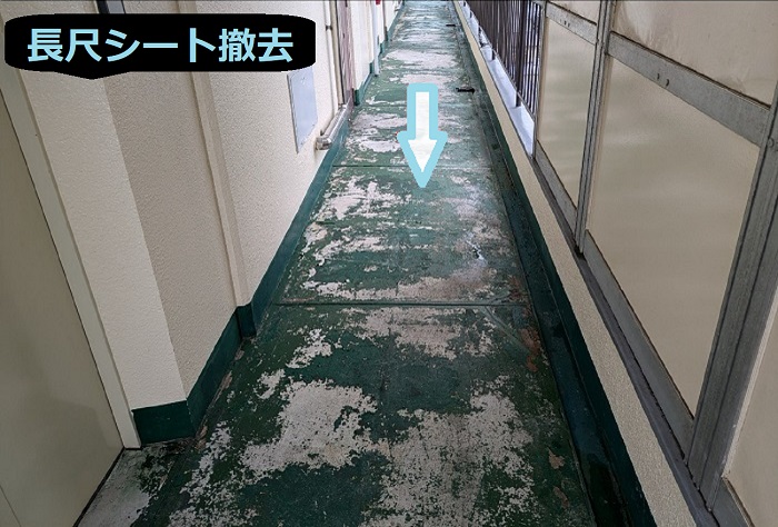 神戸市長田区で面積170平米の5階建てハイツで長尺シートを貼り替える現場で長尺シート撤去