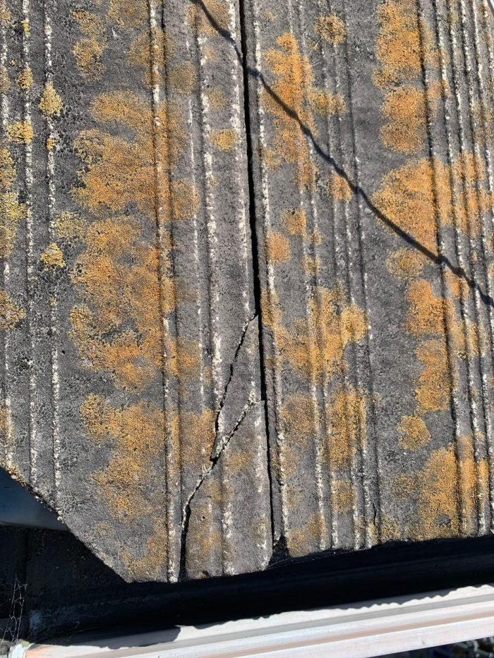 苔がびっしり生えているセメント瓦