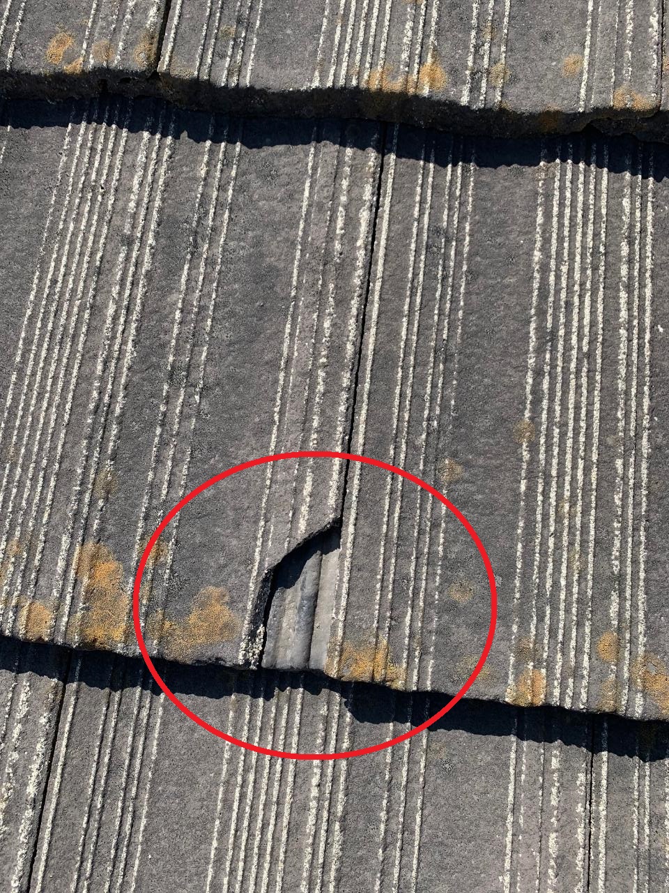 明石市での瓦屋根修理で見つけた小さなひび割れ