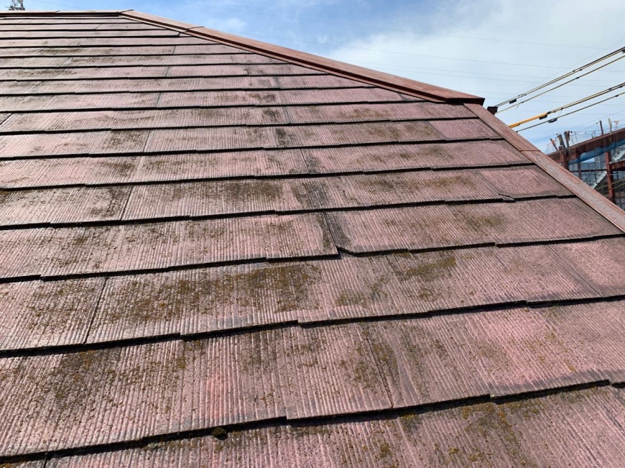 苔が繁殖したスレート屋根