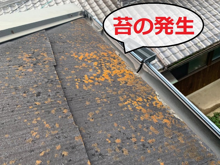 スレート屋根に苔が発生している様子