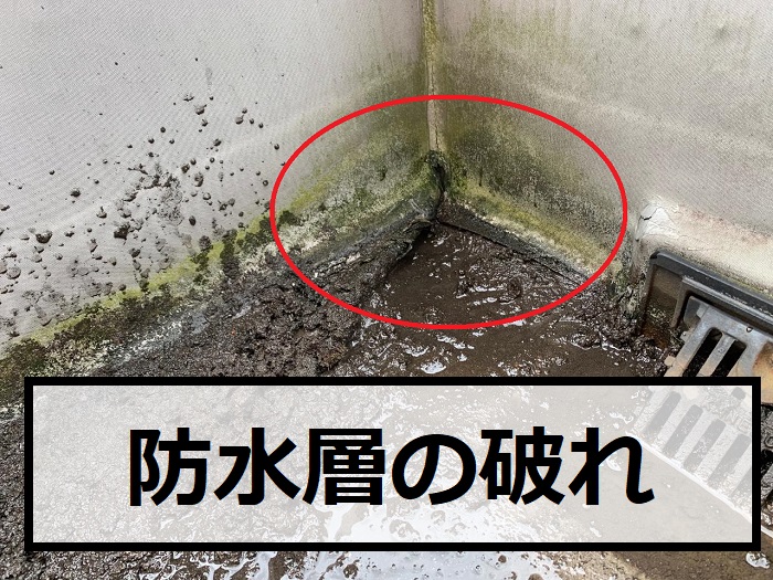 屋上の防水層が破れている様子