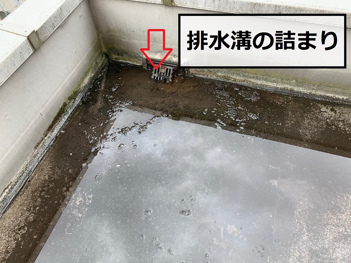 屋上の排水溝が詰まっている様子