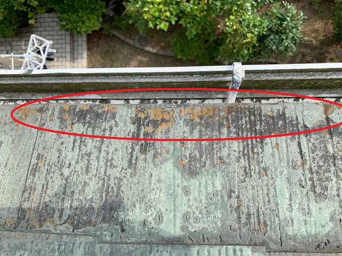 スレート屋根に苔が発生している様子