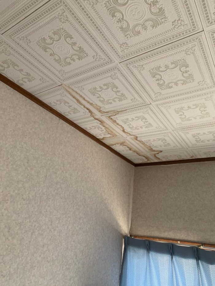 トイレの天井のシミの様子