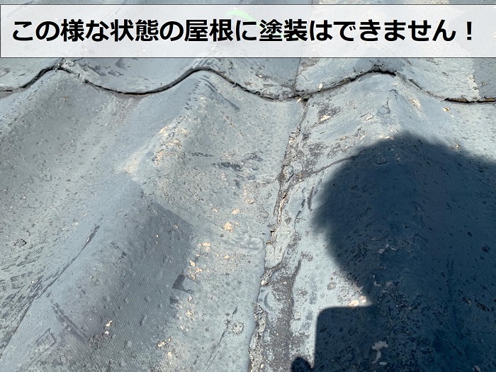 屋根の状態がひどく塗装できない様子